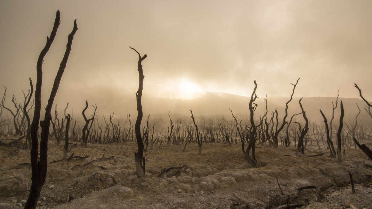 Sciopero per il clima Torino