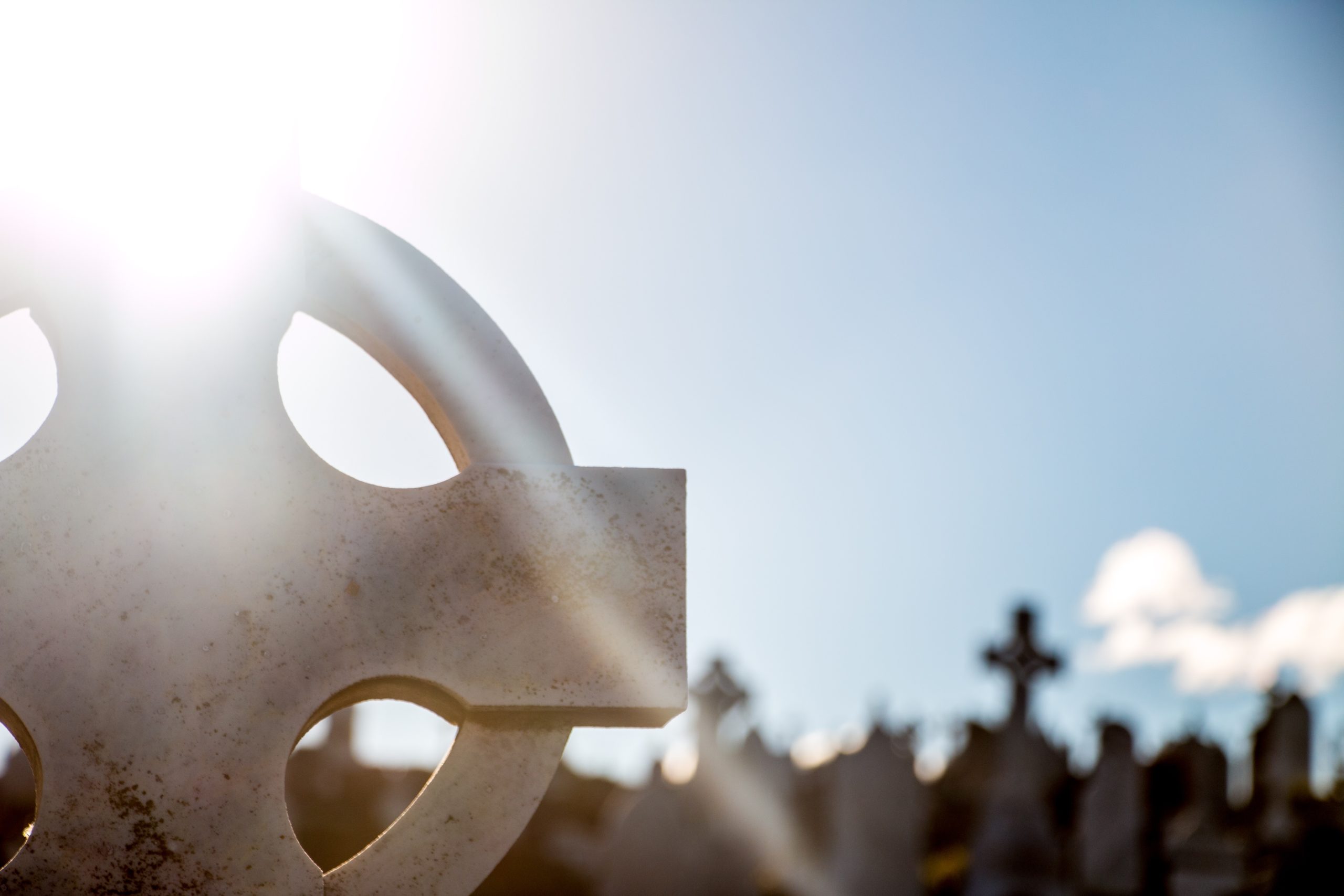 Scambio lipidi al Cimitero di Torino