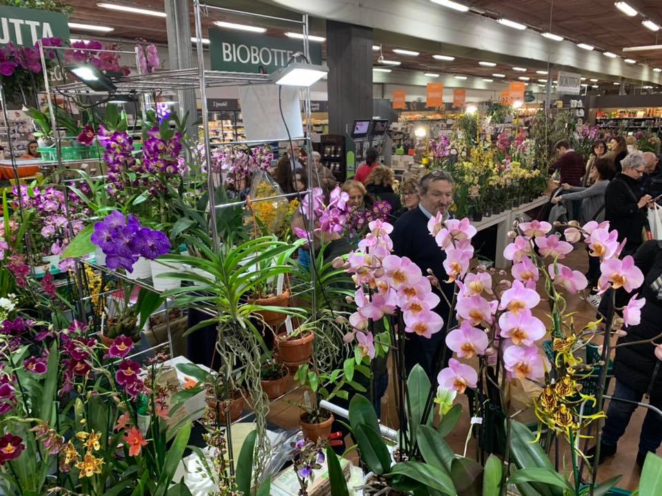 Orchiday Peraga Garden Center