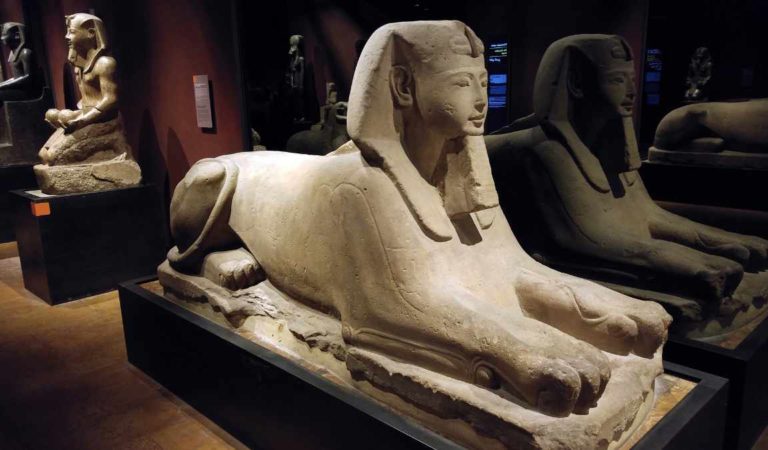 #IoRestoaCasa: tutti i più bei musei d’Italia da visitare online da casa propria #IoRestoaCasa: tutti i più bei musei d’Italia da visitare online da casa propria
