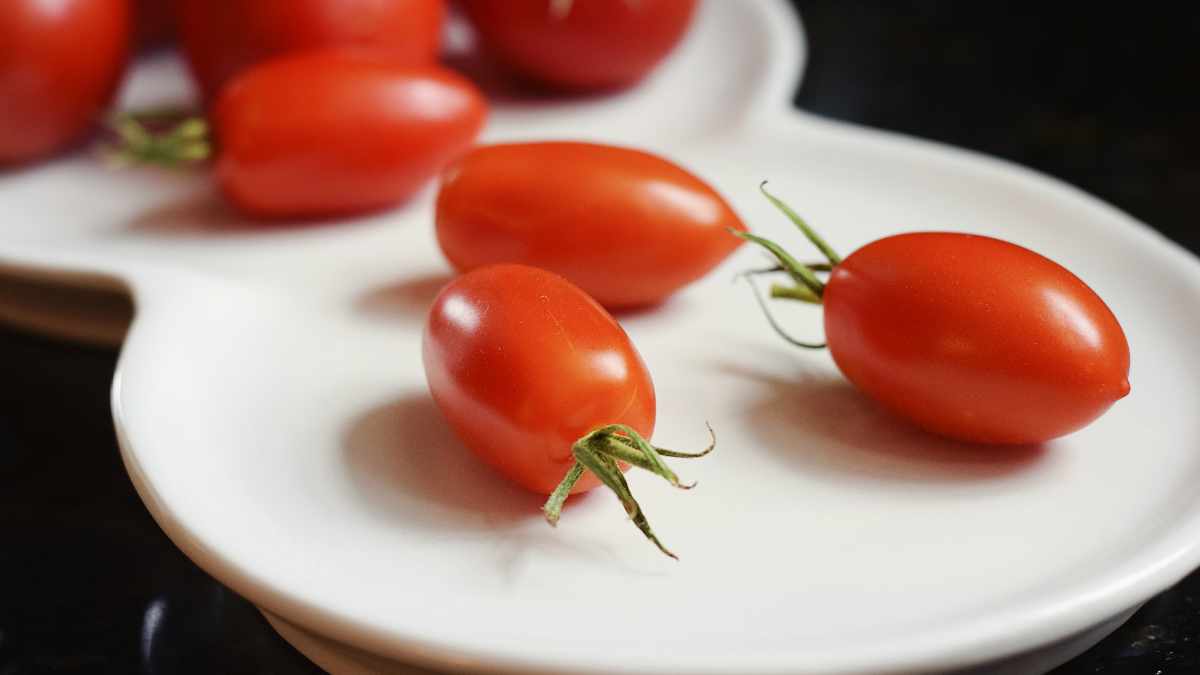 Salsa passata di pomodoro richiamata dal commercio