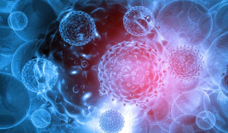 Coronavirus Covid-19, ecco le nuove dieci bufale prontamente smentite da ISS e Ministero della Salute Coronavirus Covid-19, ecco le nuove dieci bufale prontamente smentite da ISS e Ministero della Salute