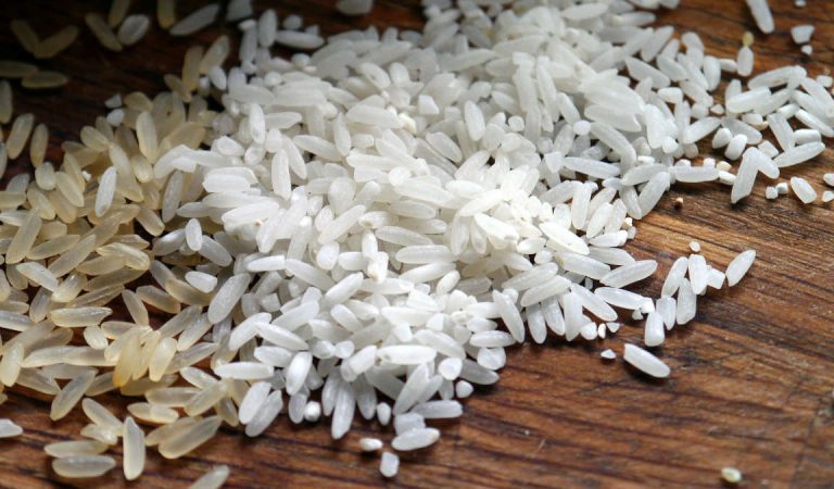 Il falso riso biologico piemontese: denunciato imprenditore agricolo Il falso riso biologico piemontese: denunciato imprenditore agricolo