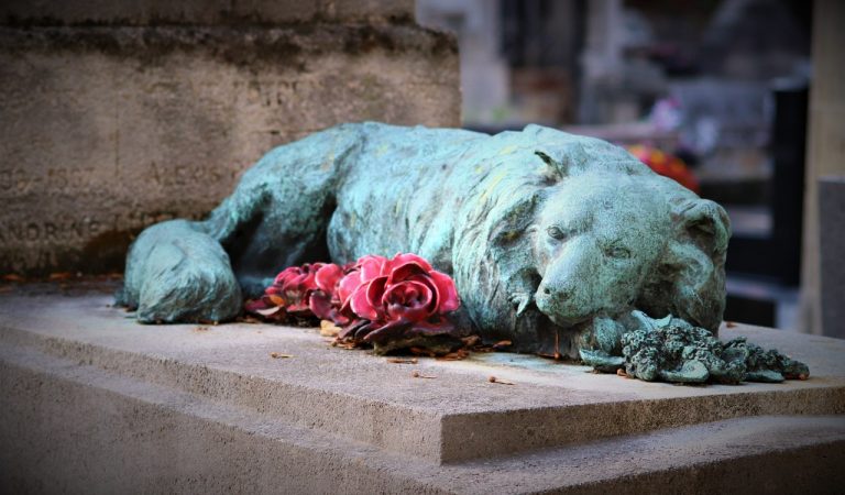 Torino, cimiteri per animali nei giardini pubblici? Torino, cimiteri per animali nei giardini pubblici?