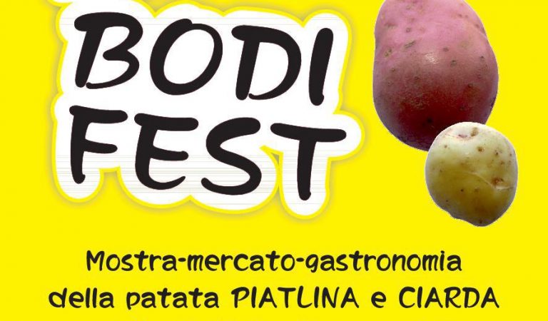Bodi Fest 2020 Bodi Fest 2020