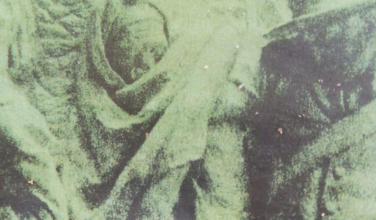 Alla Fondazione Sandretto la prima mostra “verso la normalità” Alla Fondazione Sandretto la prima mostra “verso la normalità”