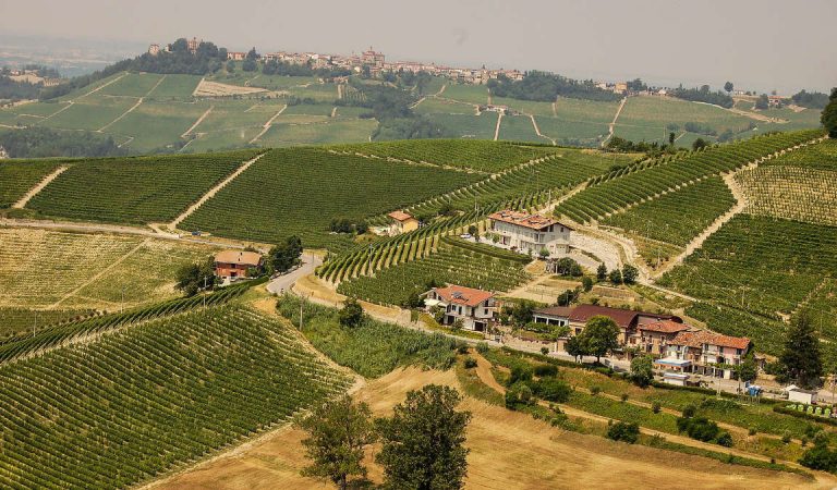 Agriturismo La Gran Collina, a pochi chilometri da Torino tra Alba e Asti Agriturismo La Gran Collina, a pochi chilometri da Torino tra Alba e Asti