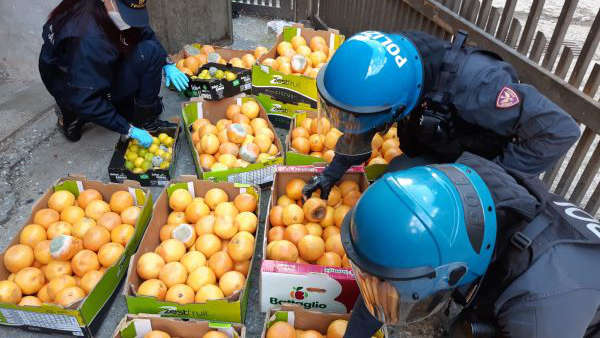 Frutta mal conservata sequestrata a Torino