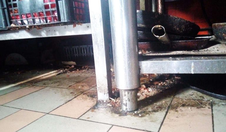 Negozi da paura a Torino: sequestrati cibi e cucina di ristorante in precarie condizioni igieniche. FOTO e VIDEO Negozi da paura a Torino: sequestrati cibi e cucina di ristorante in precarie condizioni igieniche. FOTO e VIDEO