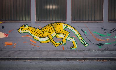 street art torino