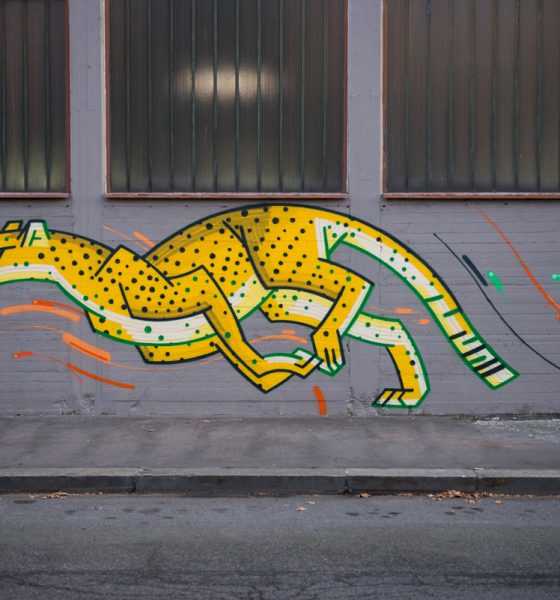 street art torino