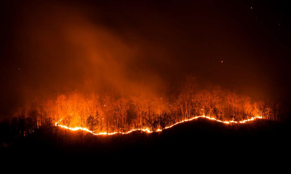 Pericolo incendi boschivi