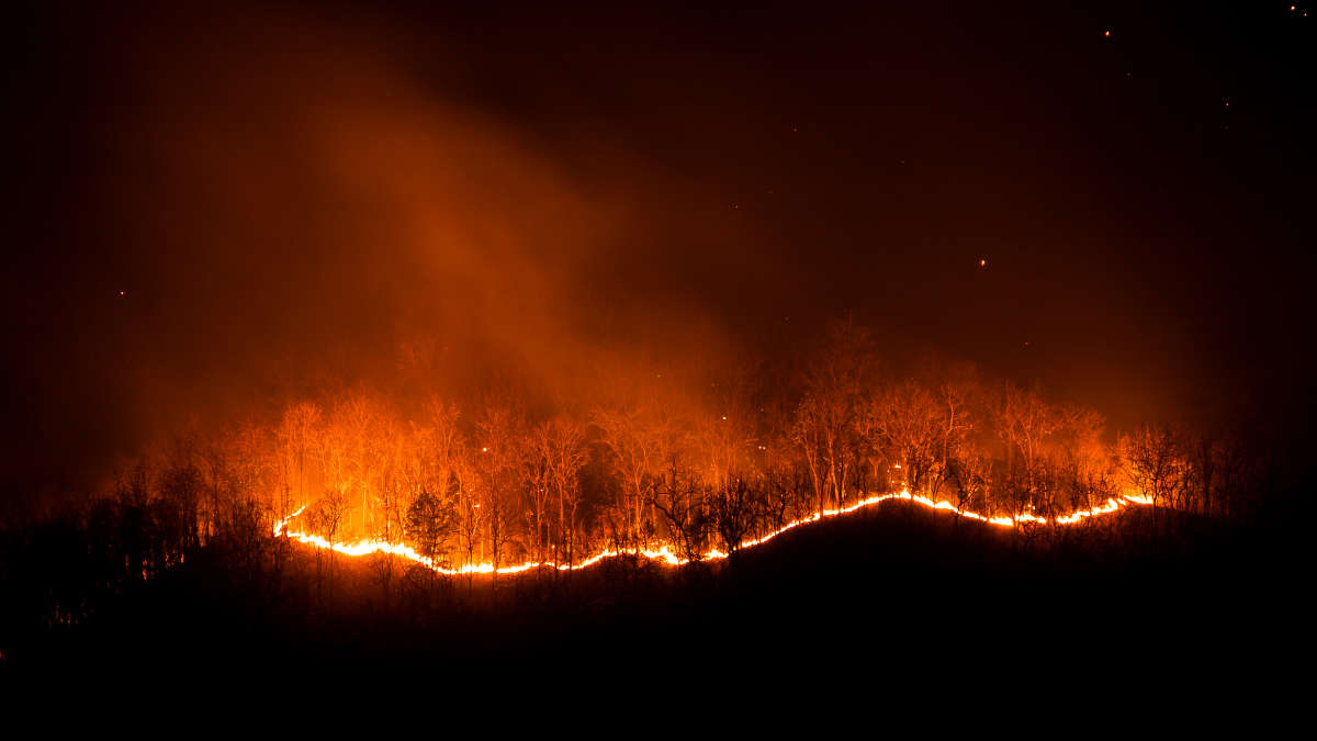 Pericolo incendi boschivi