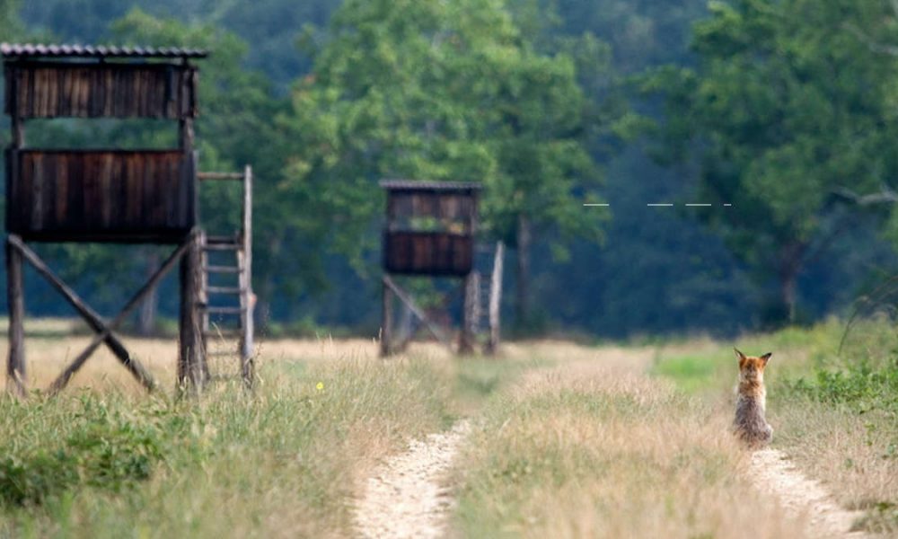 Parco La Mandria