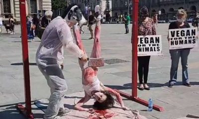 Iene vegane in piazza Castello a Torino