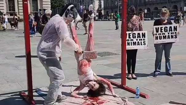 Iene vegane in piazza Castello a Torino