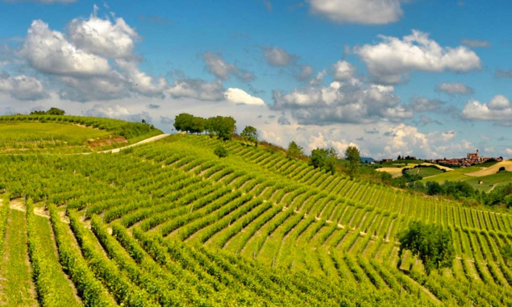 Turismo in Piemonte