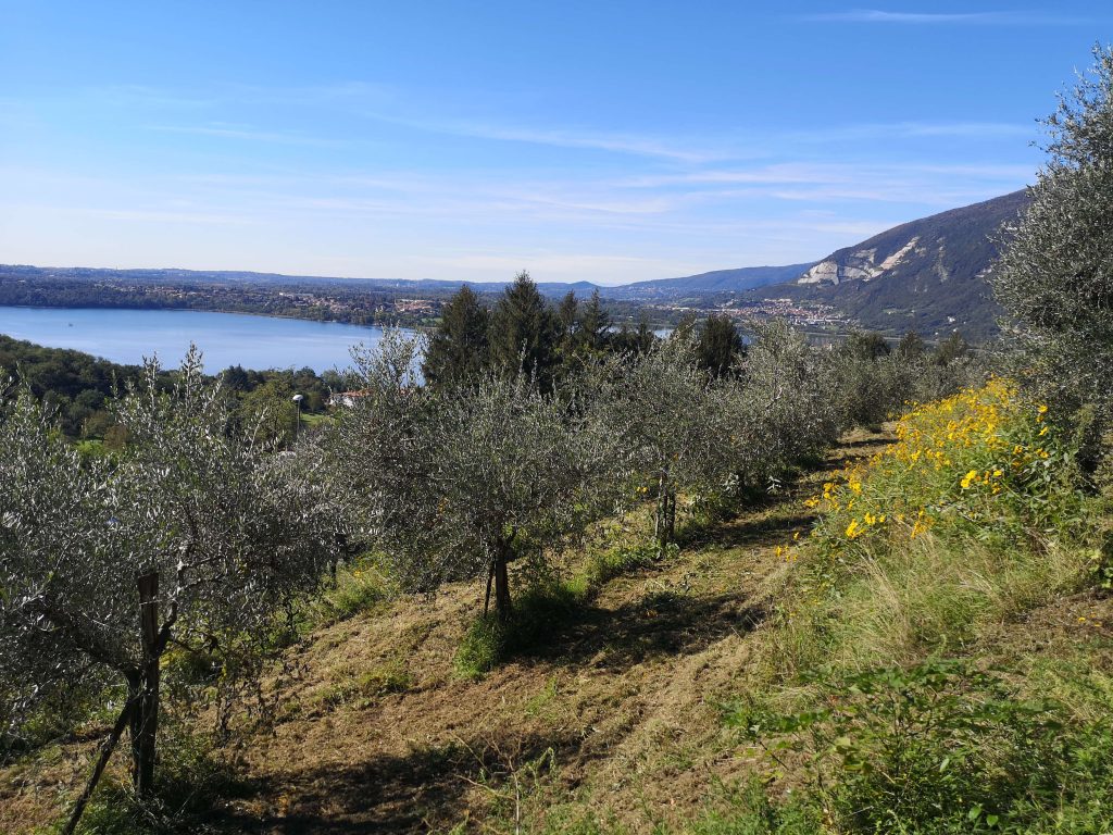 Itinerari Terrazzamenti in Piemonte, Lombardia e Valle d'Aosta