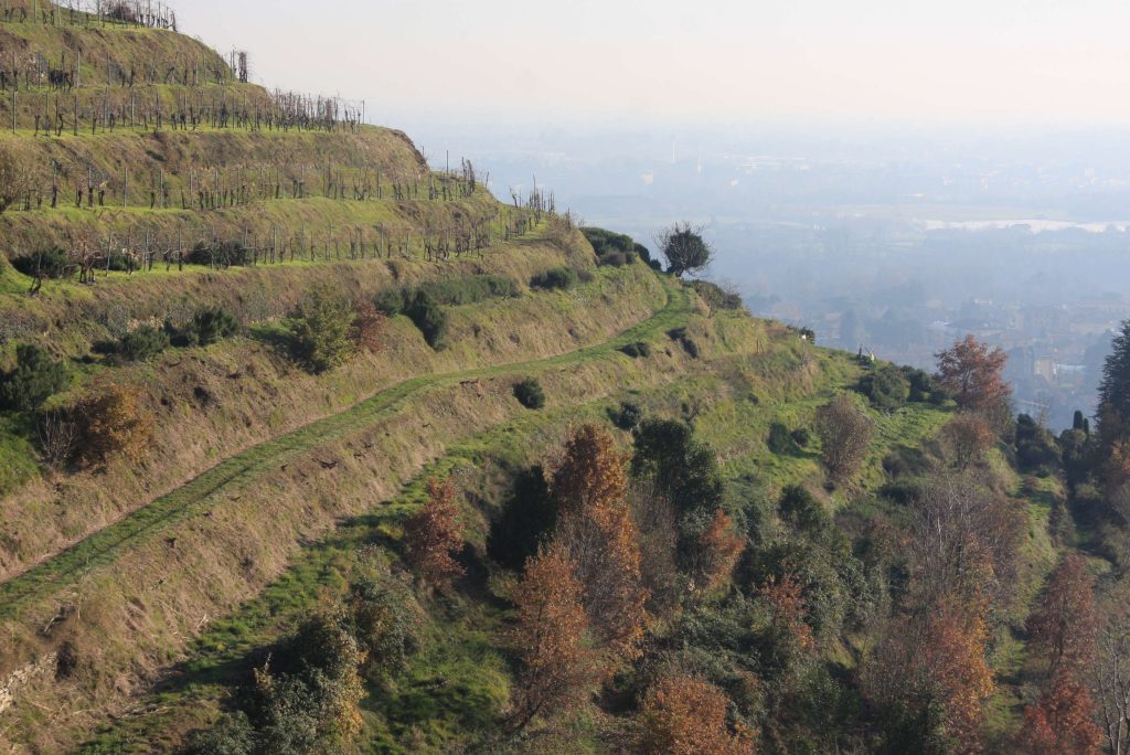 Itinerari Terrazzamenti in Piemonte, Lombardia e Valle d'Aosta