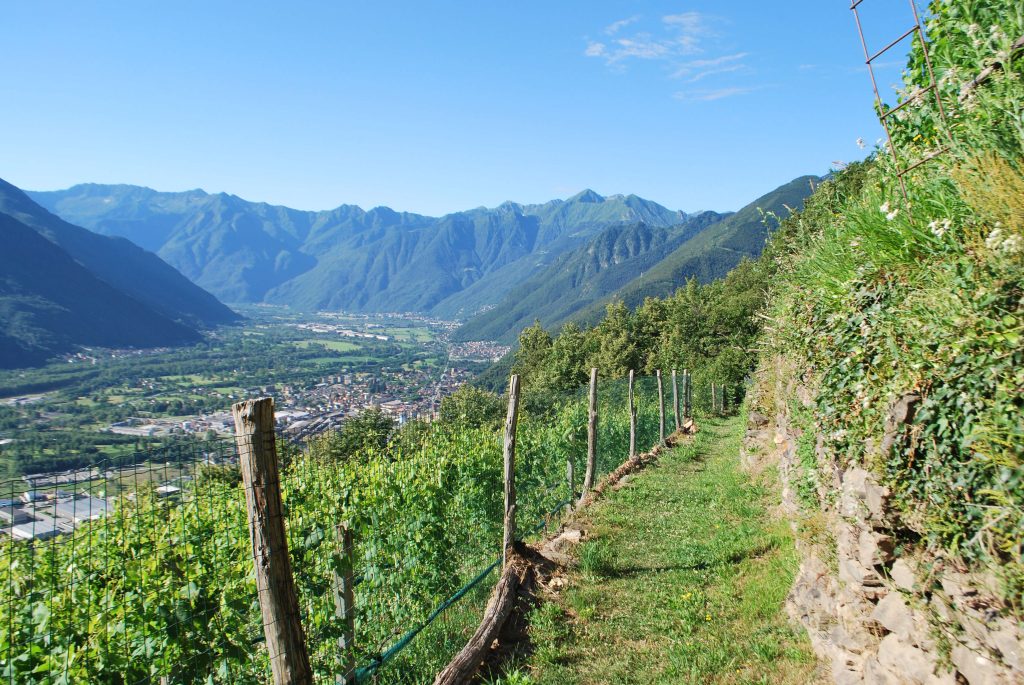 Itinerari Terrazzamenti in Piemonte, Lombardia e Valle d'Aosta