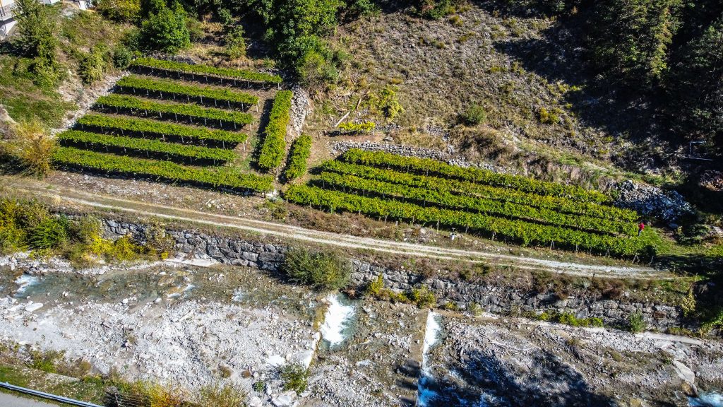 Itinerari Terrazzamenti in Piemonte, Lombardia e Valle d'Aosta