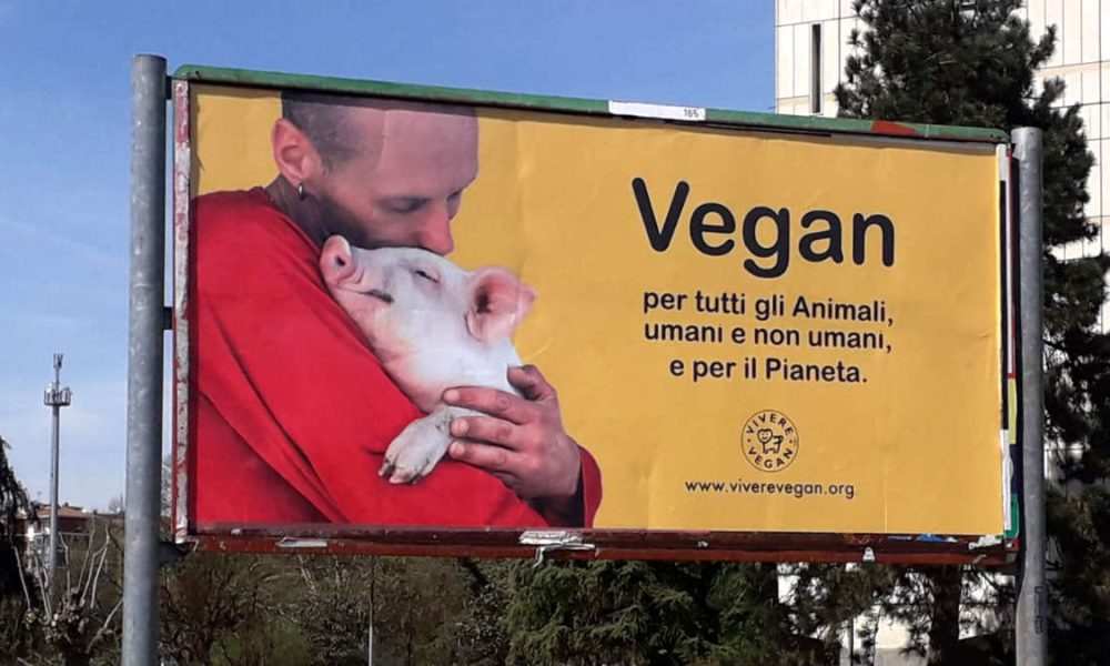 Vivere Vegan Torino