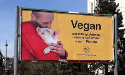 Vivere Vegan Torino