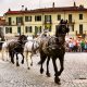 Fiera di San Savino a Ivrea